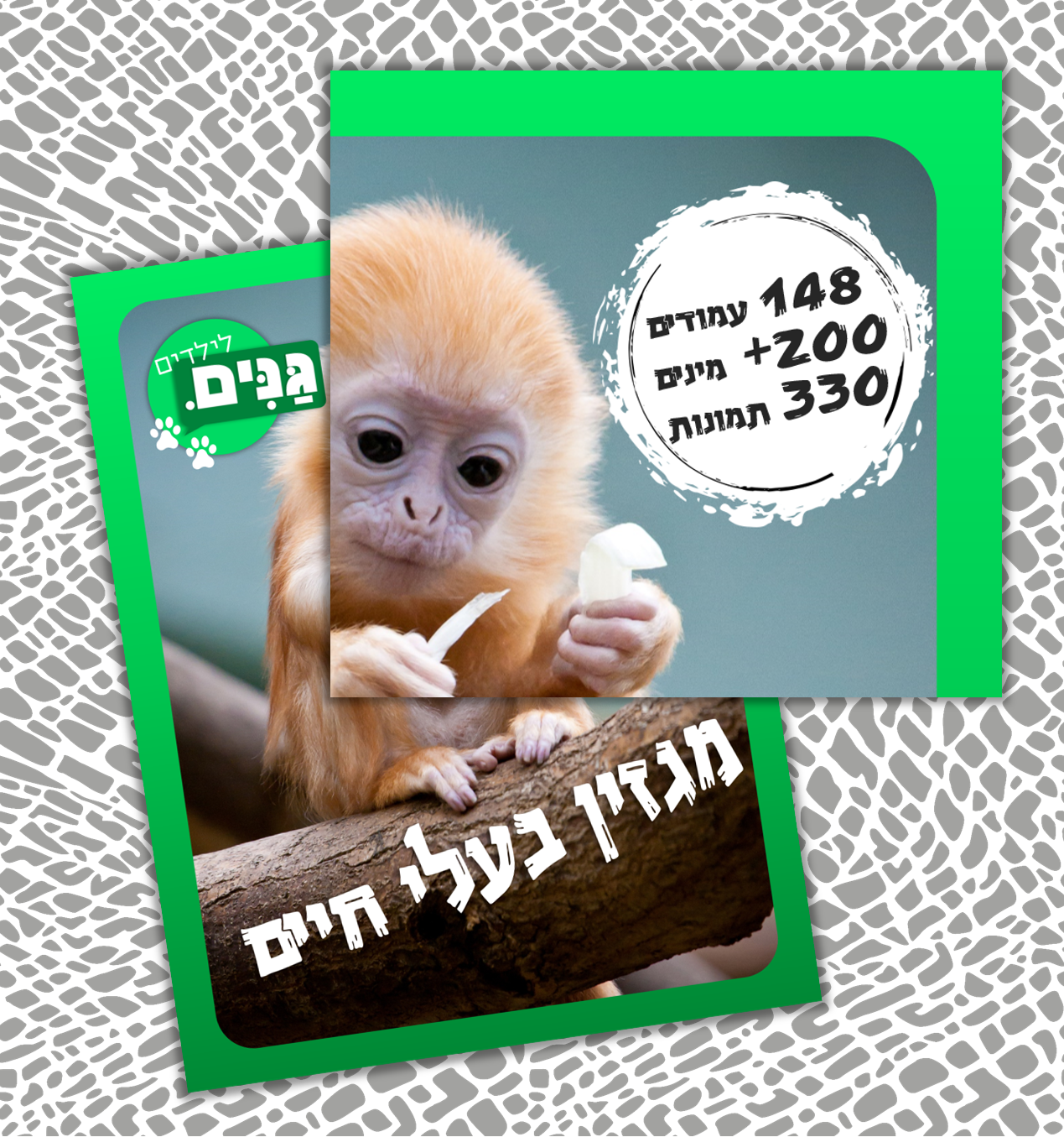 Animal sheet - for children