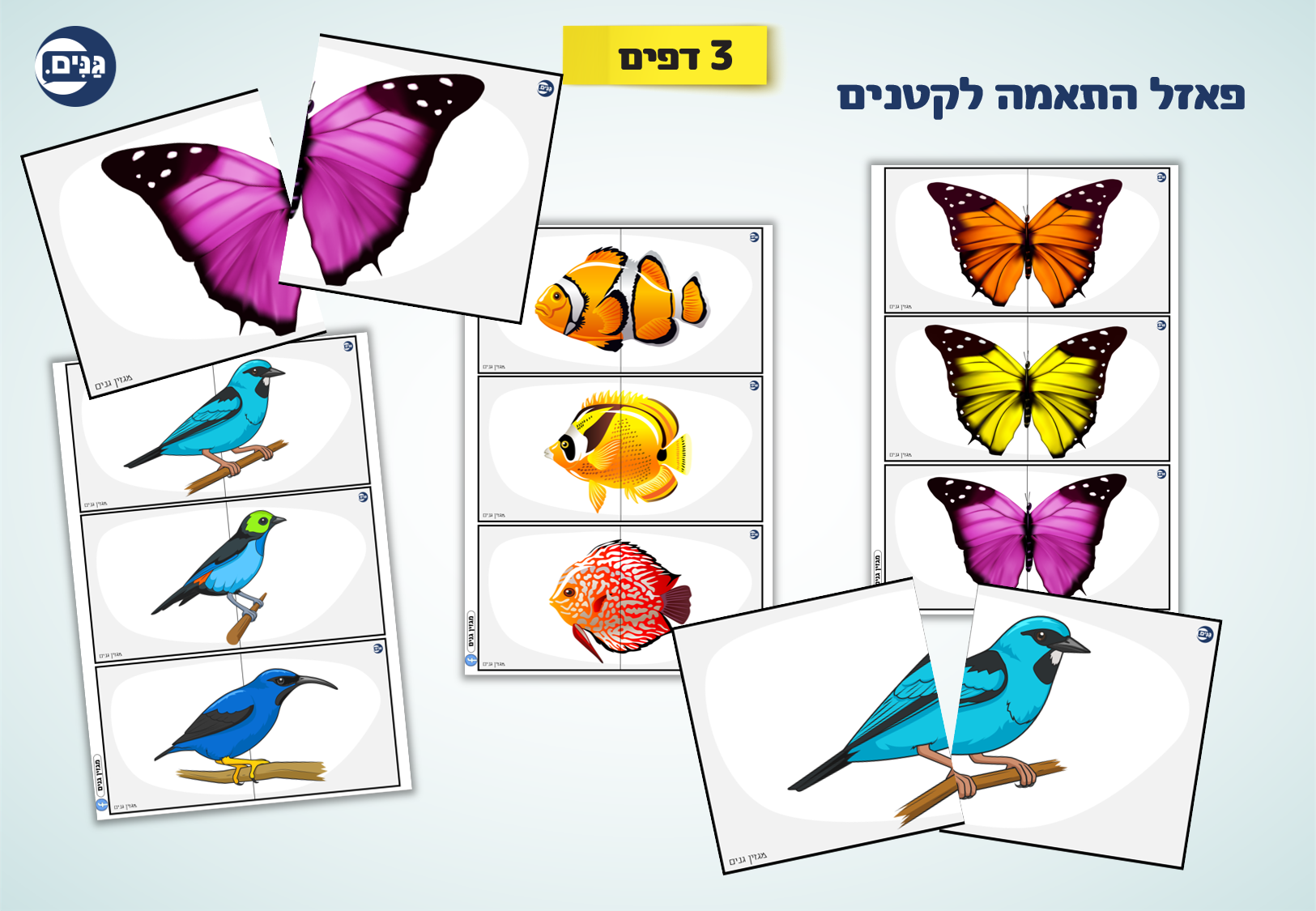 What does an animal kindergarten assessment include?