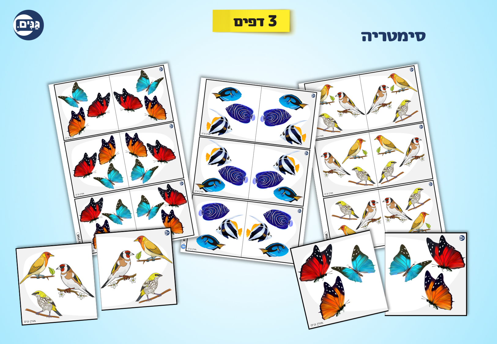 What does an animal kindergarten assessment include?