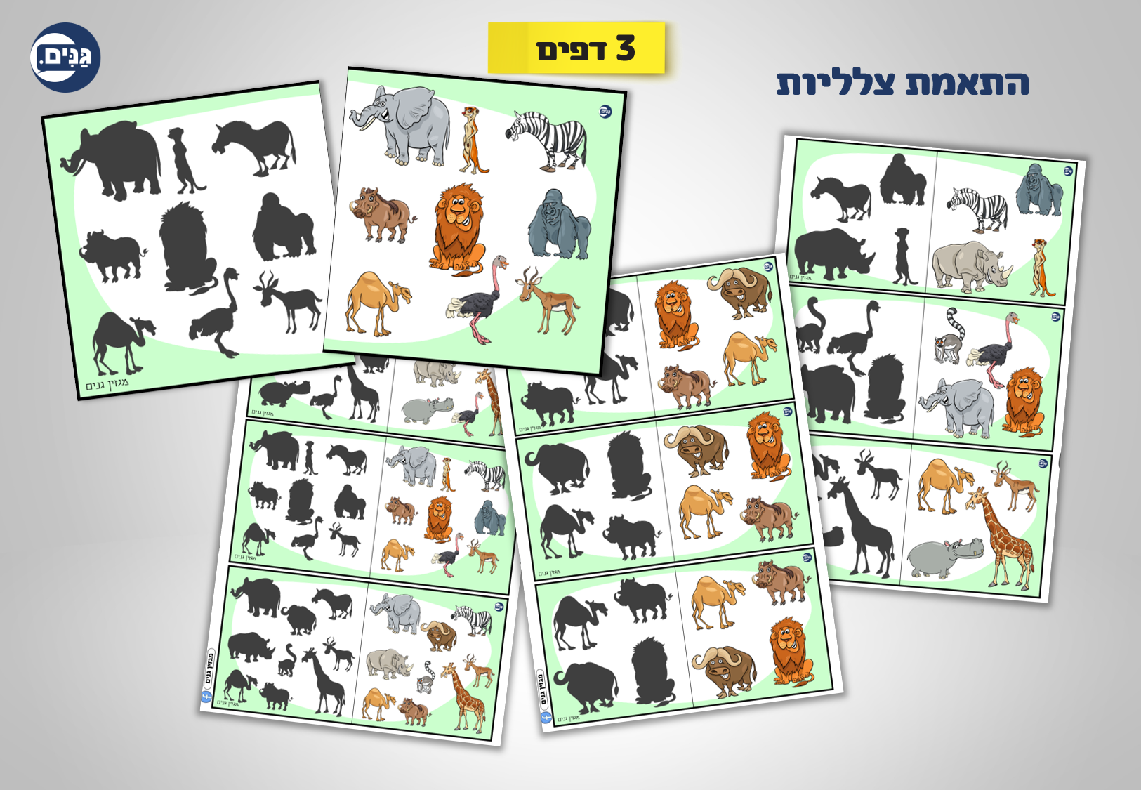 What does an animal kindergarten assessment include?