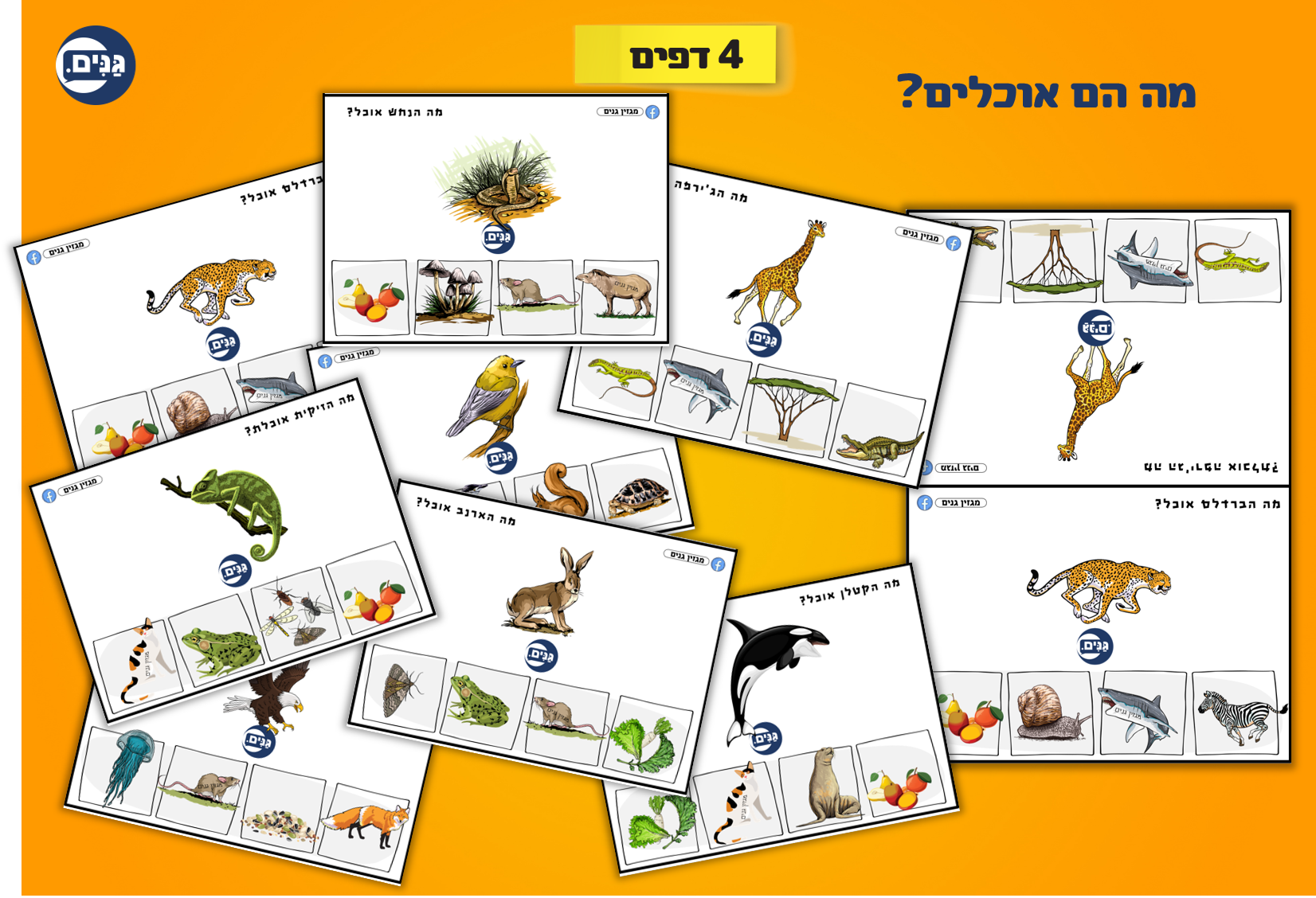 What does an animal kindergarten assessment include?