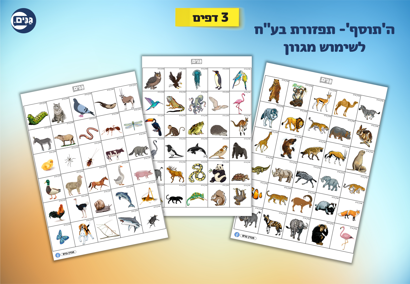 What does an animal kindergarten assessment include?