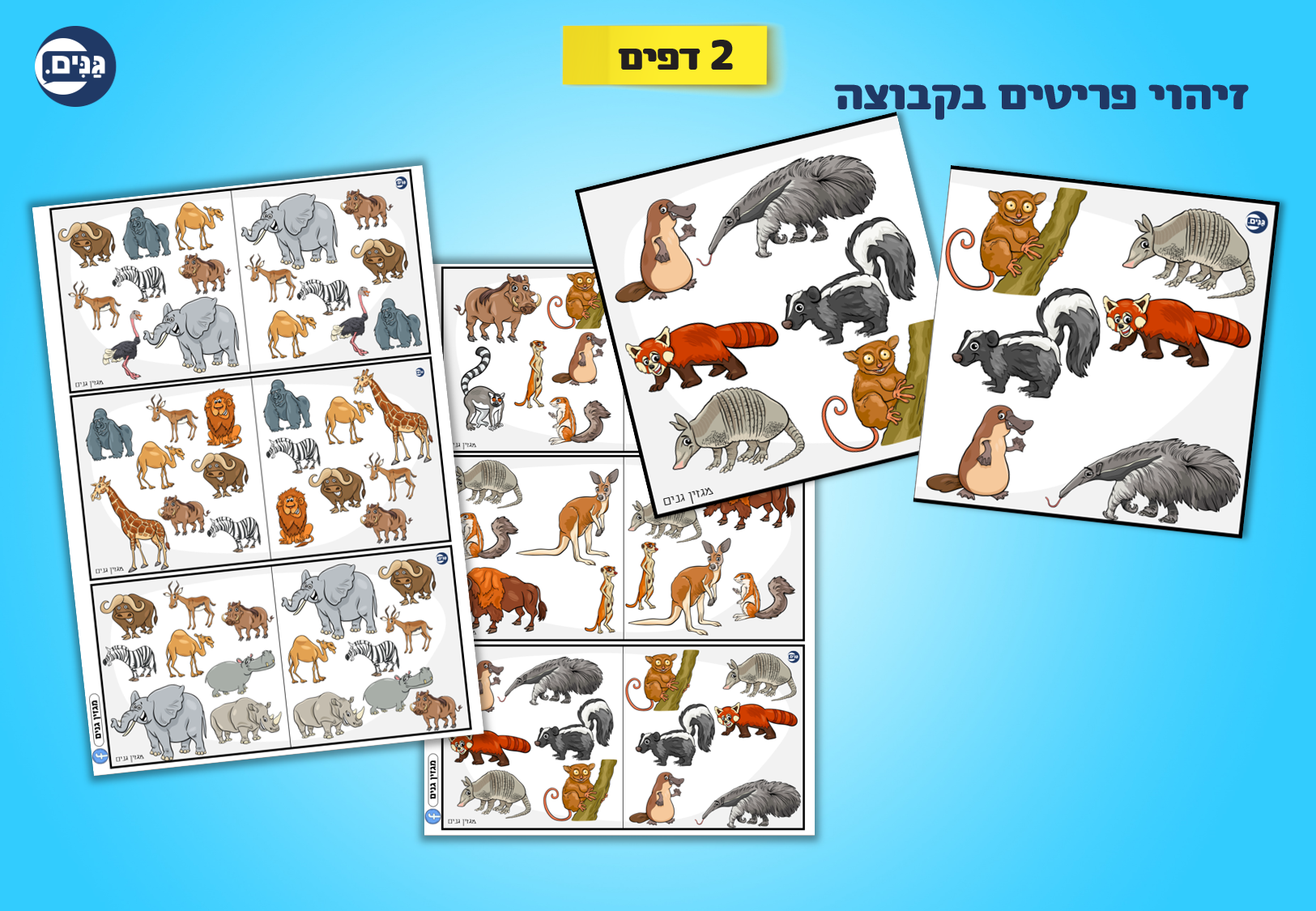 What does an animal kindergarten assessment include?