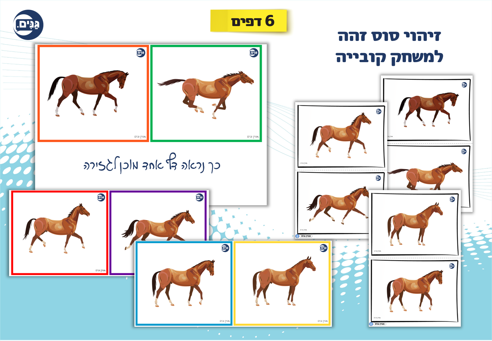 What does an animal kindergarten assessment include?