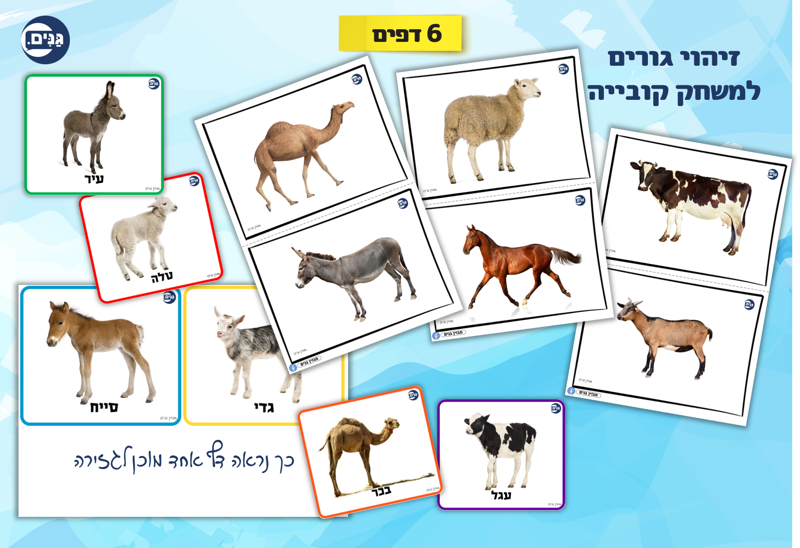 What does an animal kindergarten assessment include?