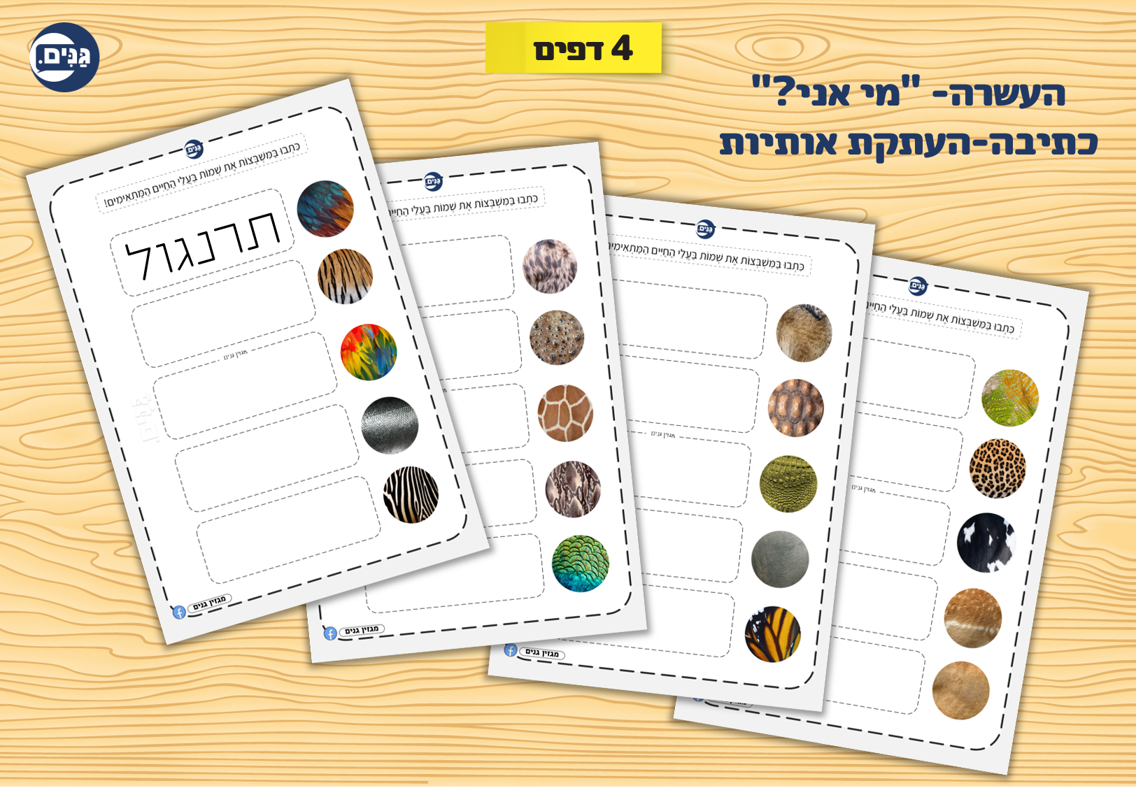 What does an animal kindergarten assessment include?