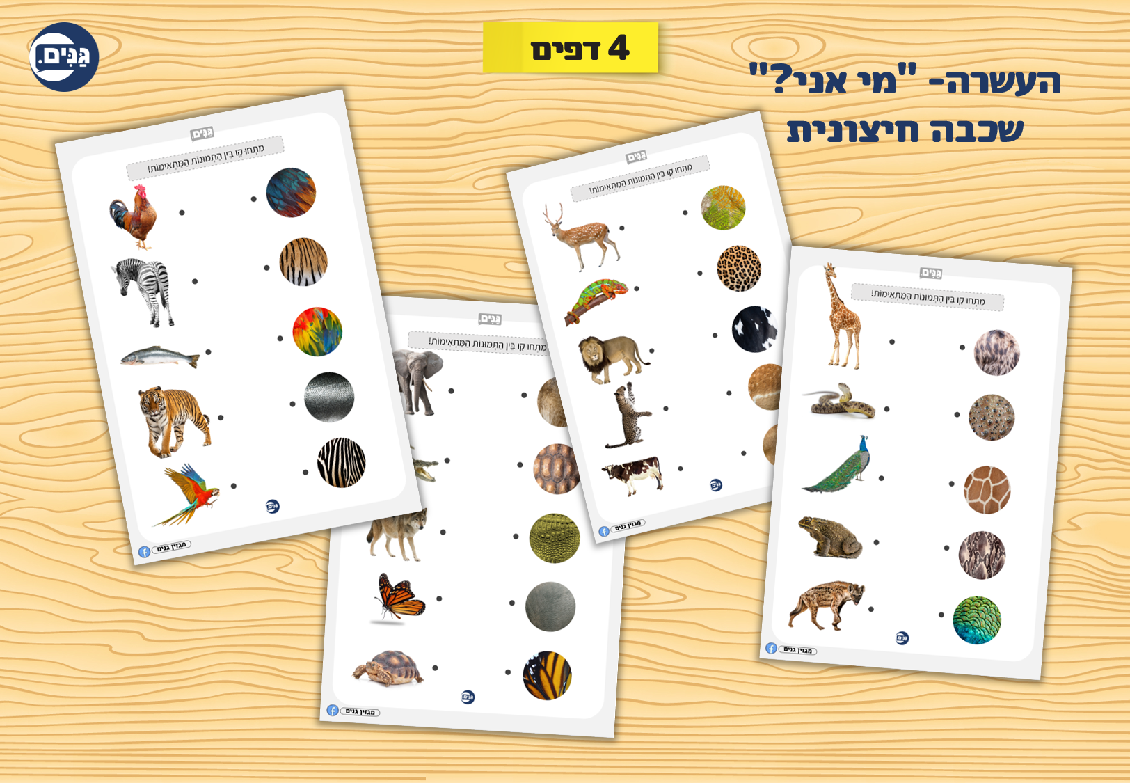 What does an animal kindergarten assessment include?