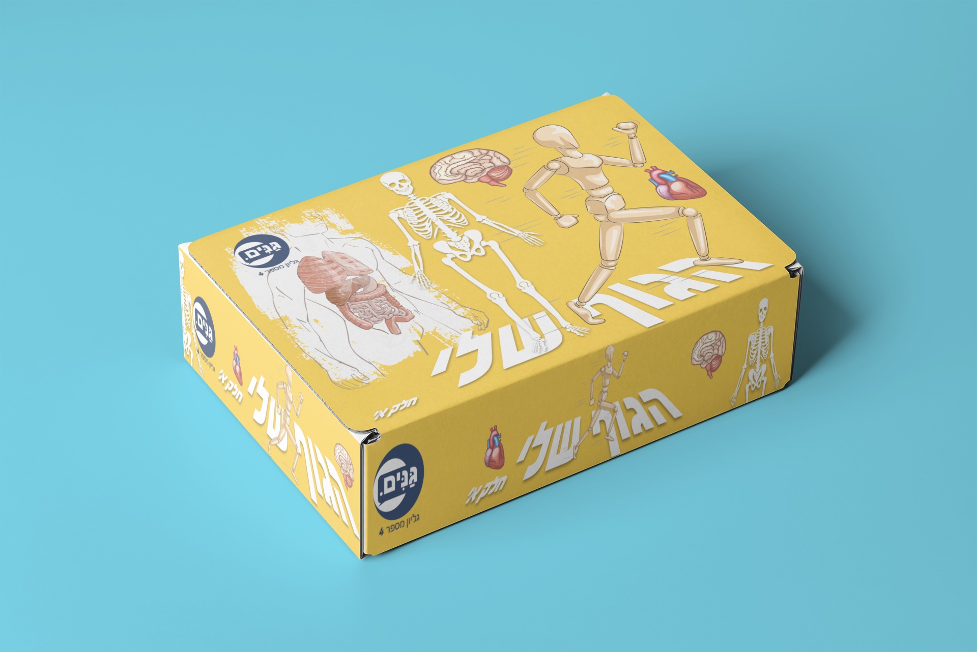 What does a kindergarten assessment about my body involve?