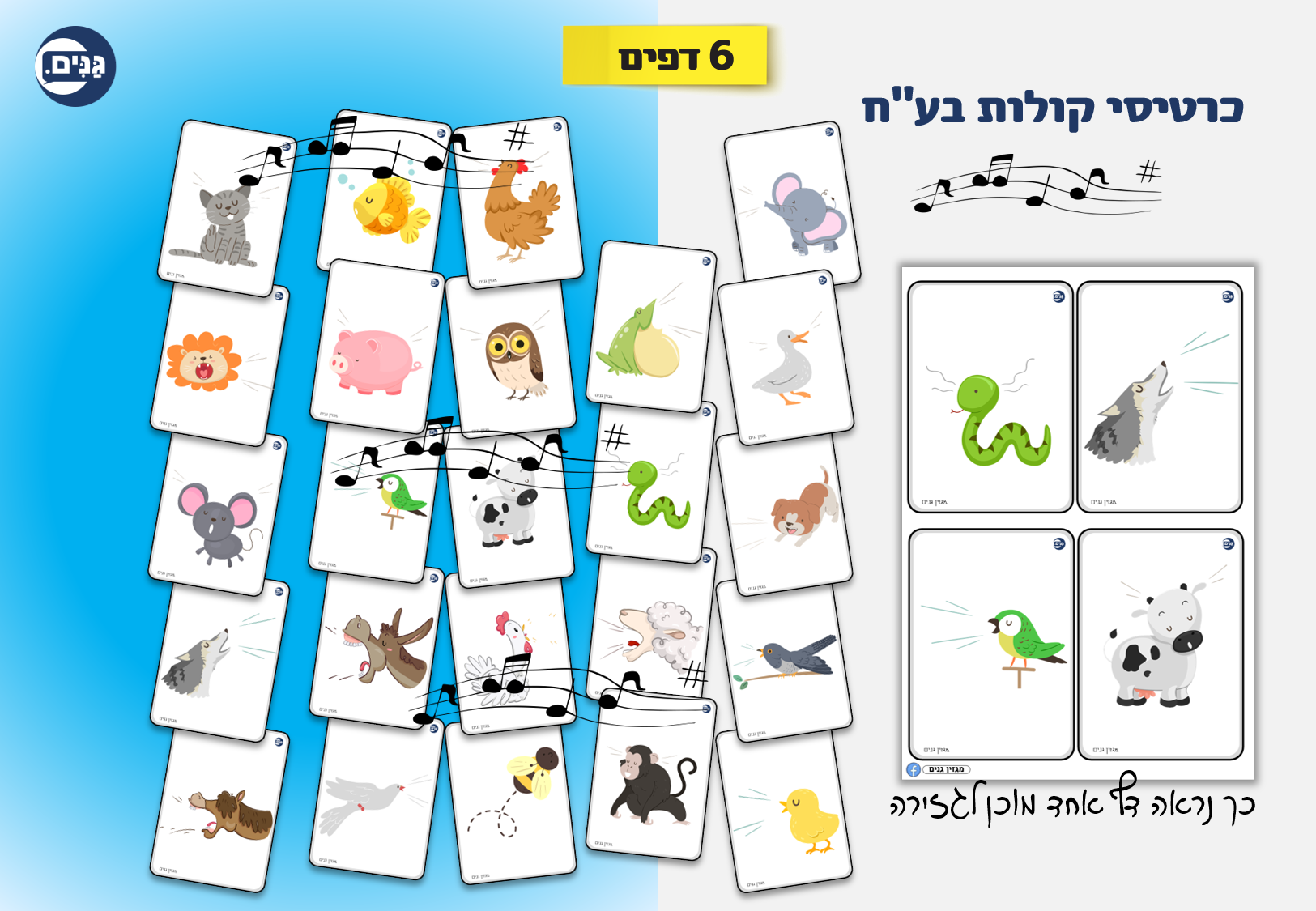 What does an animal kindergarten assessment include?