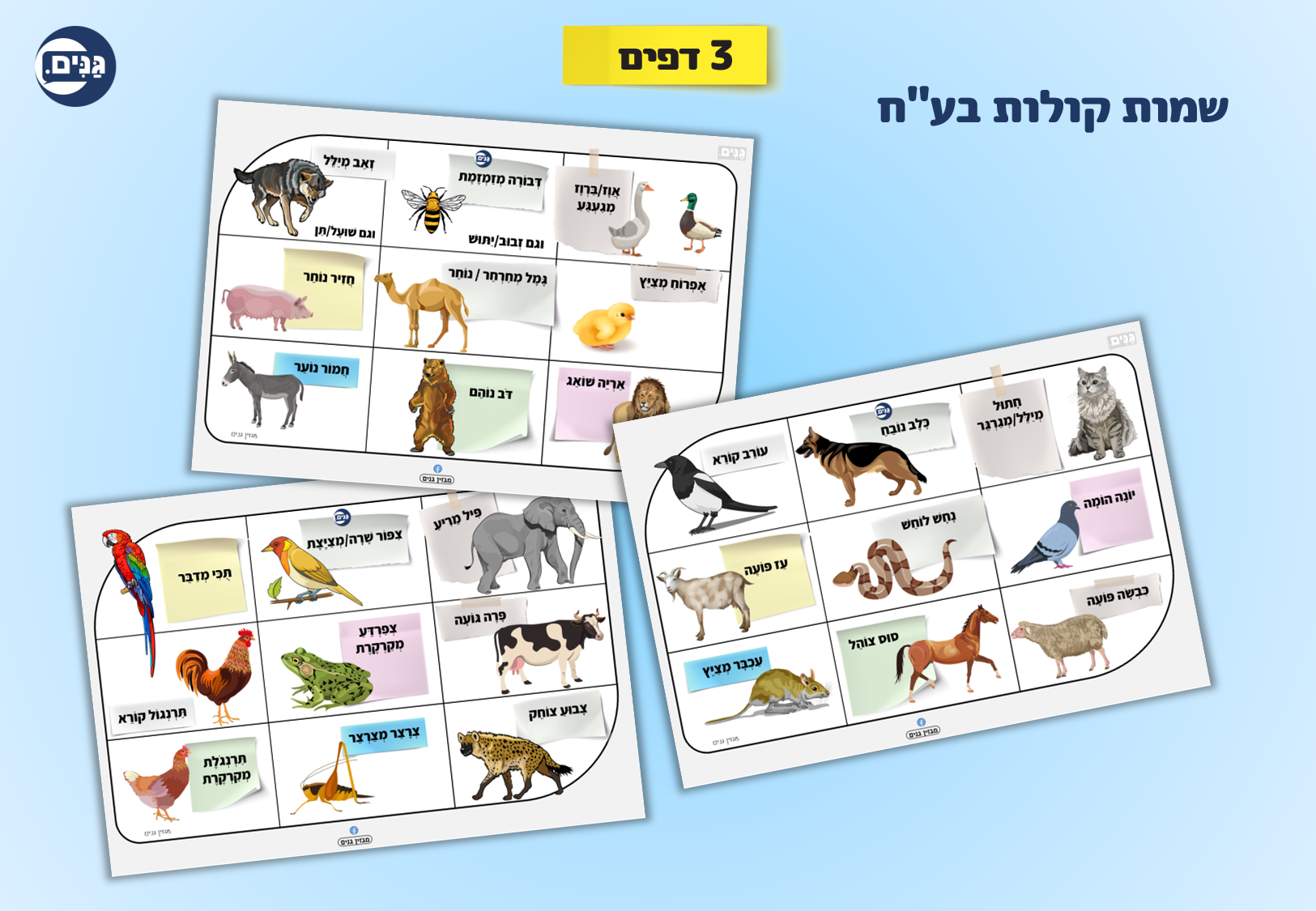 What does an animal kindergarten assessment include?