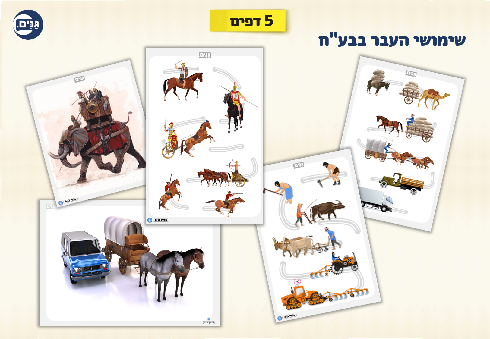 What does an animal kindergarten assessment include?