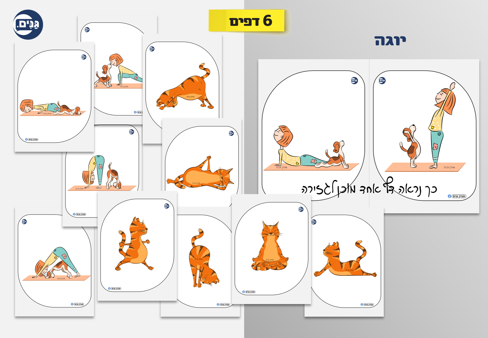 What does an animal kindergarten assessment include?