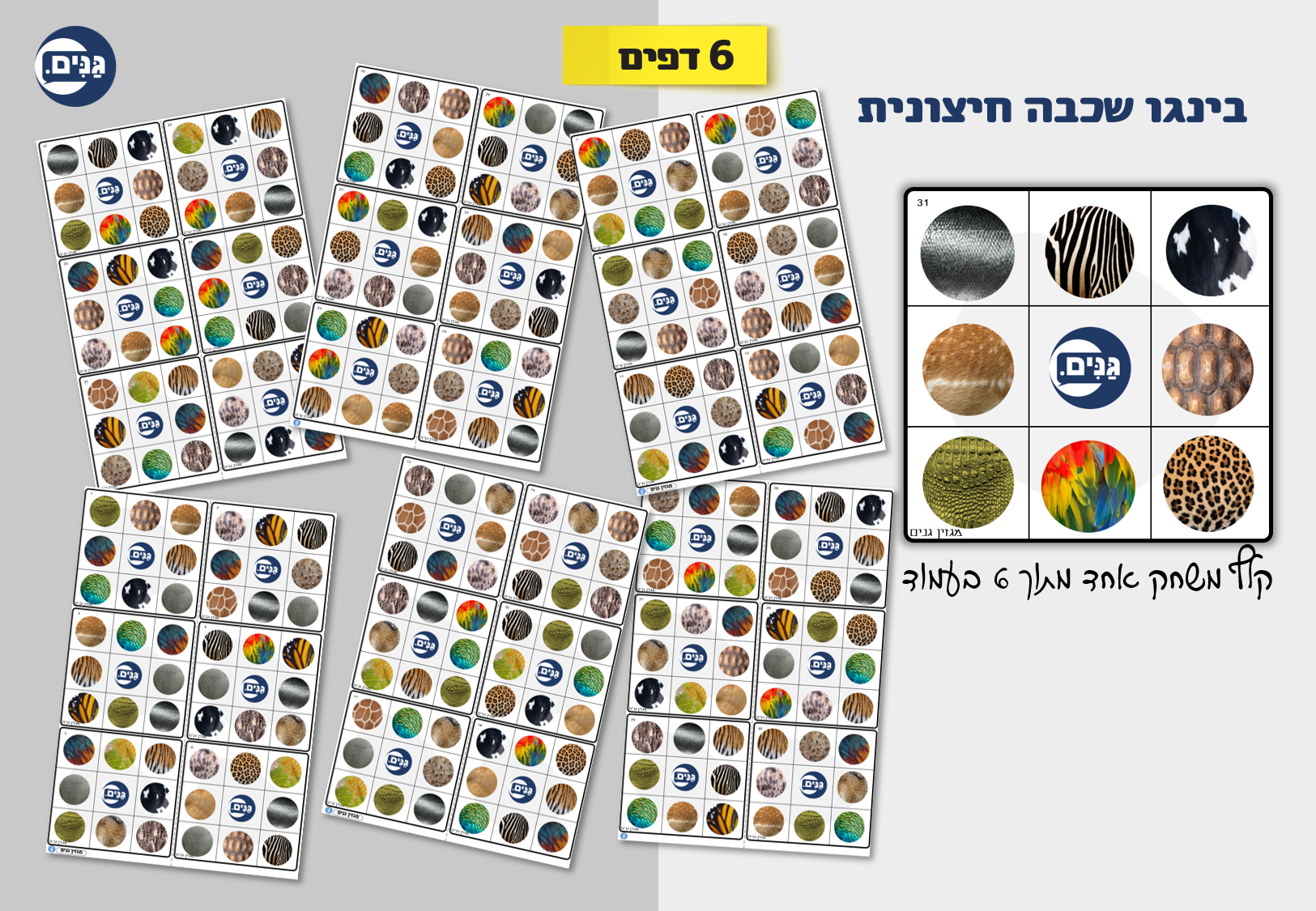 What does an animal kindergarten assessment include?