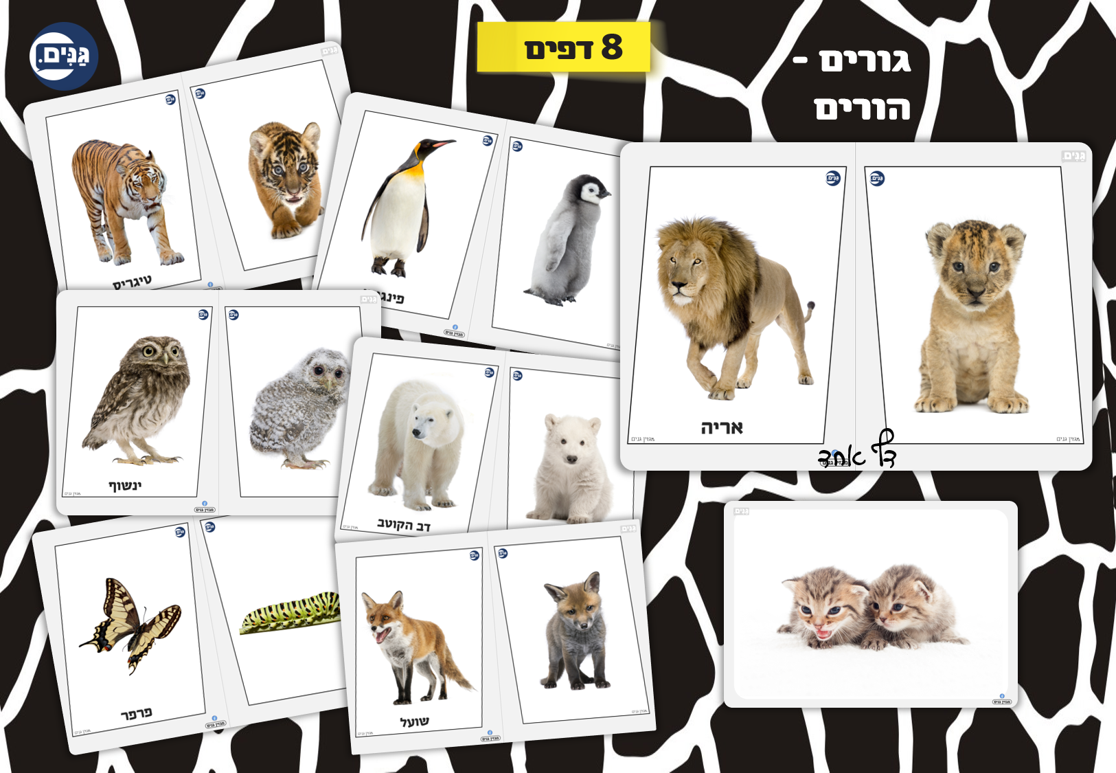 What does an animal kindergarten assessment include?