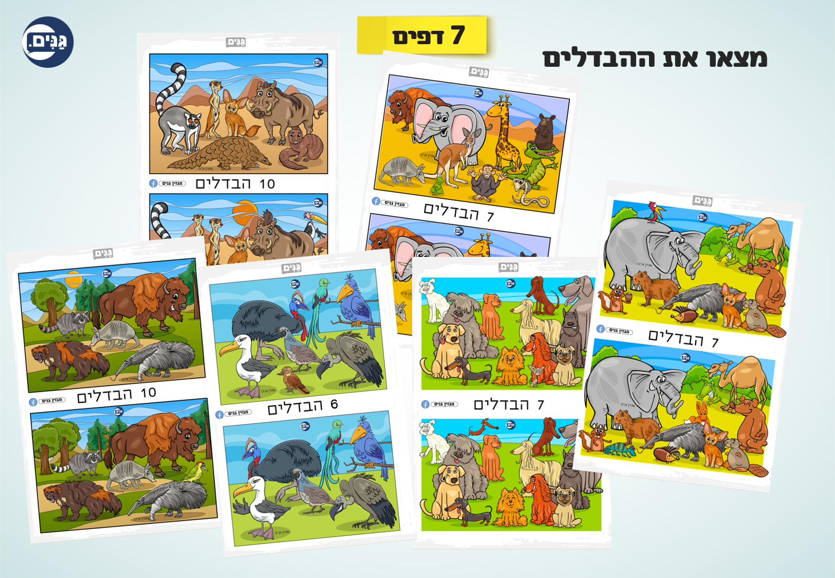 What does an animal kindergarten assessment include?