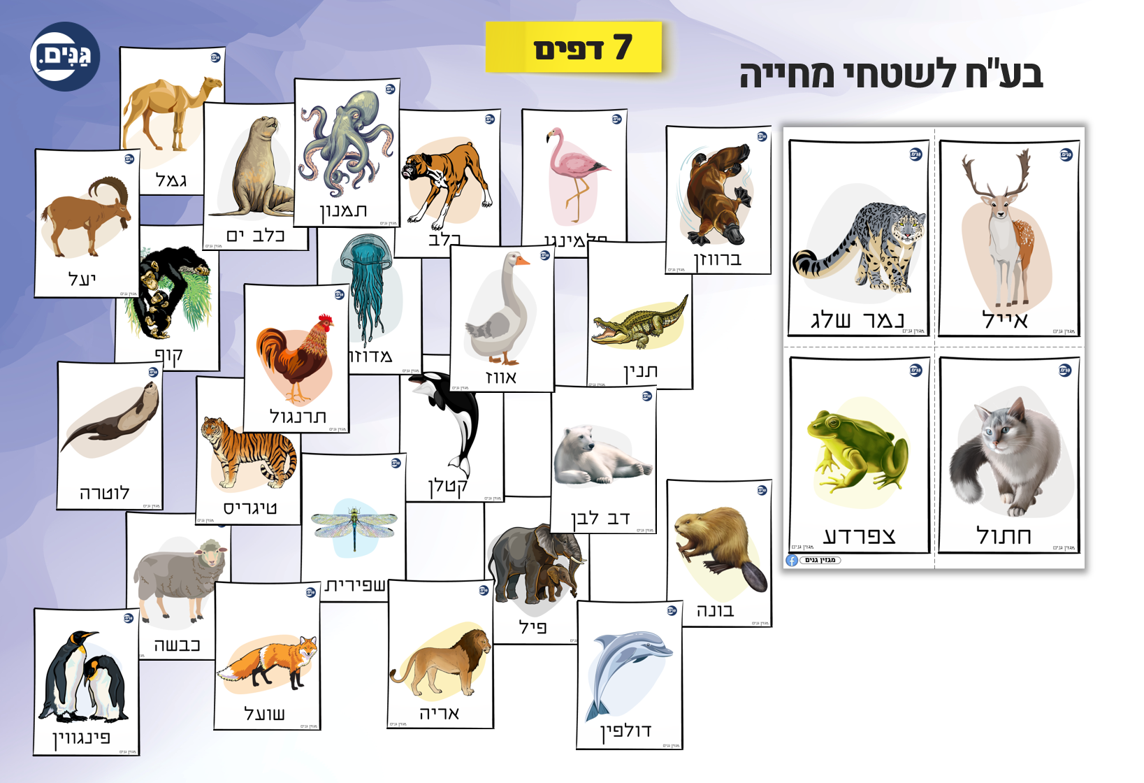 What does an animal kindergarten assessment include?