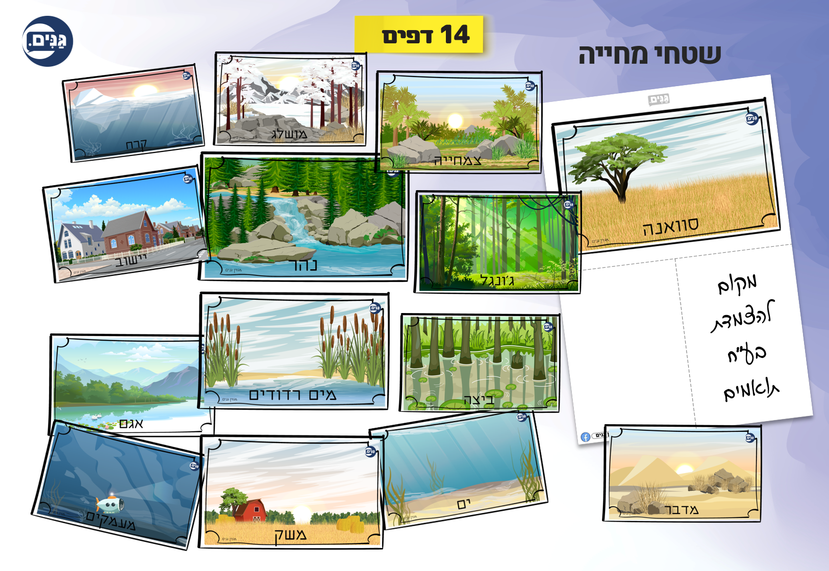 What does an animal kindergarten assessment include?