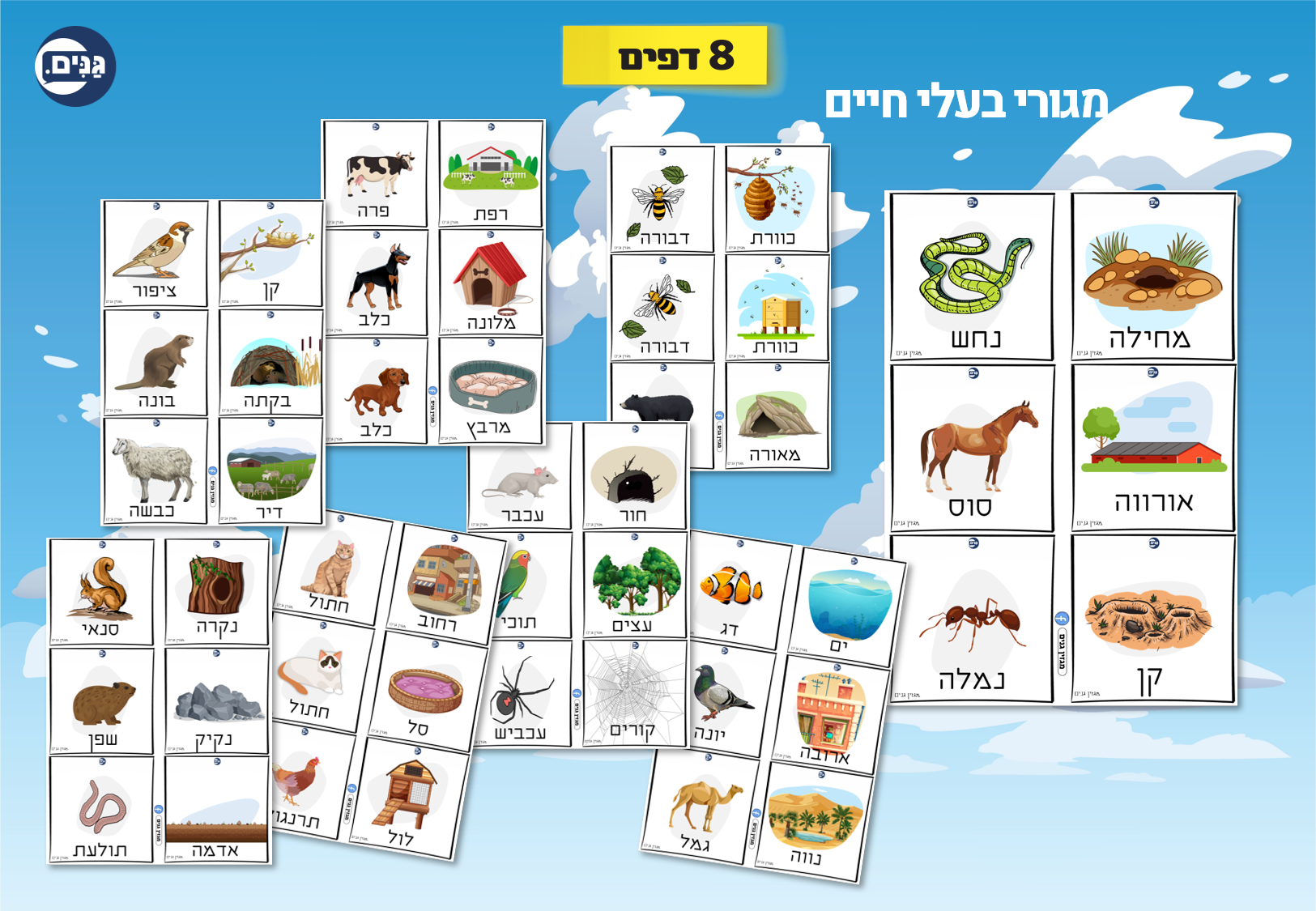 What does an animal kindergarten assessment include?