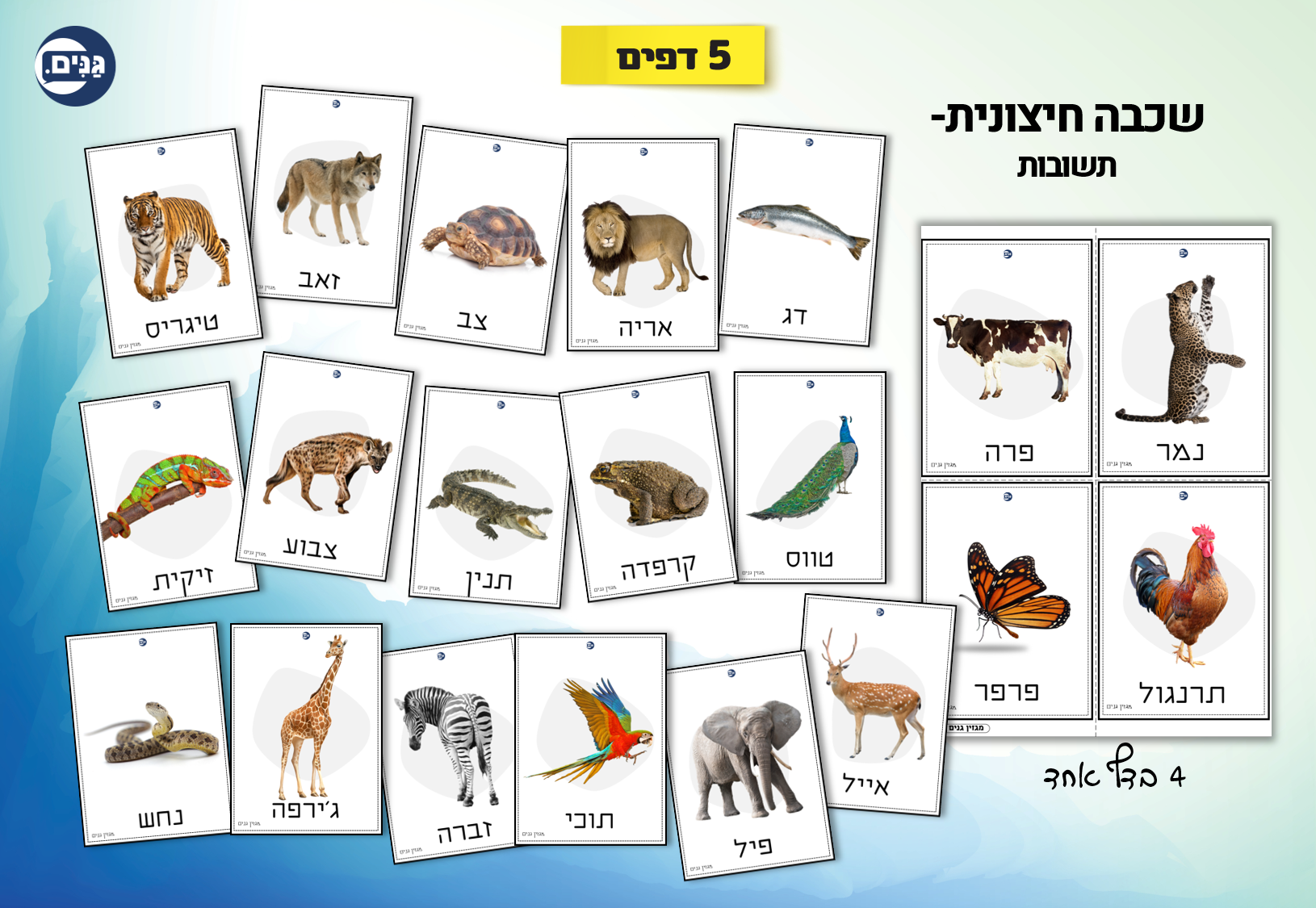 What does an animal kindergarten assessment include?