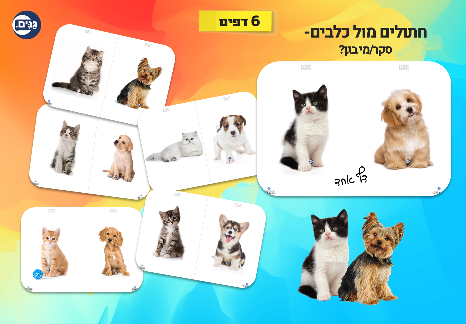 What does an animal kindergarten assessment include?