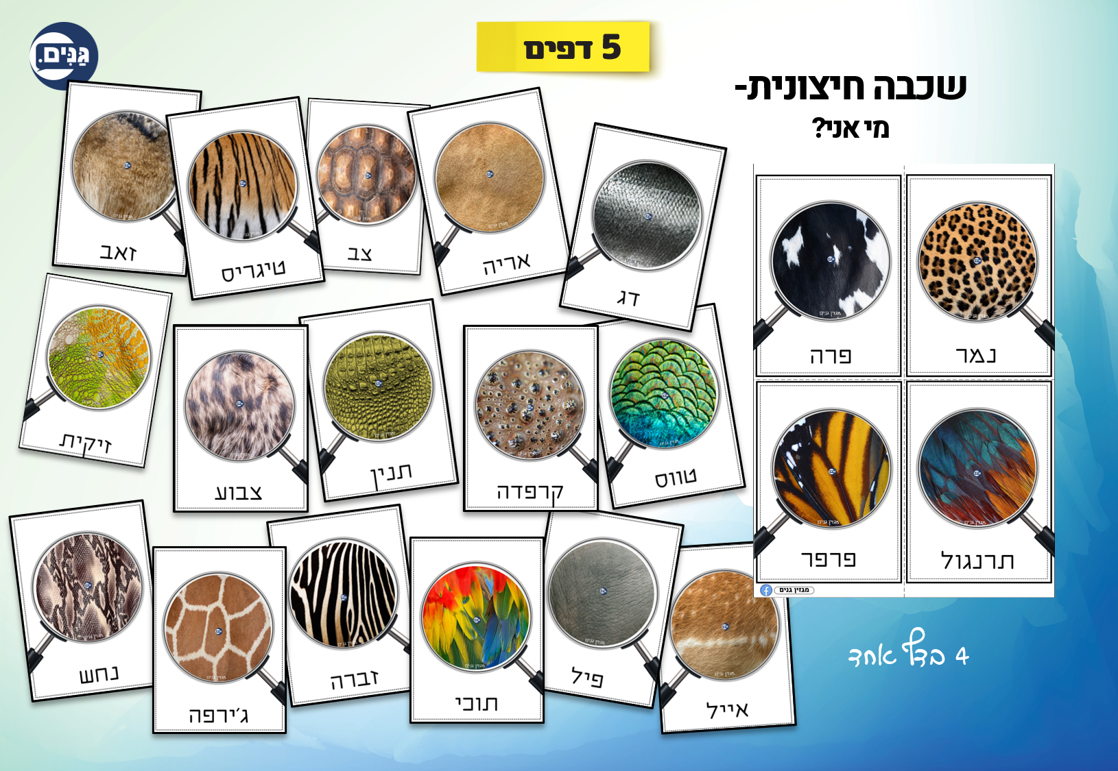 What does an animal kindergarten assessment include?