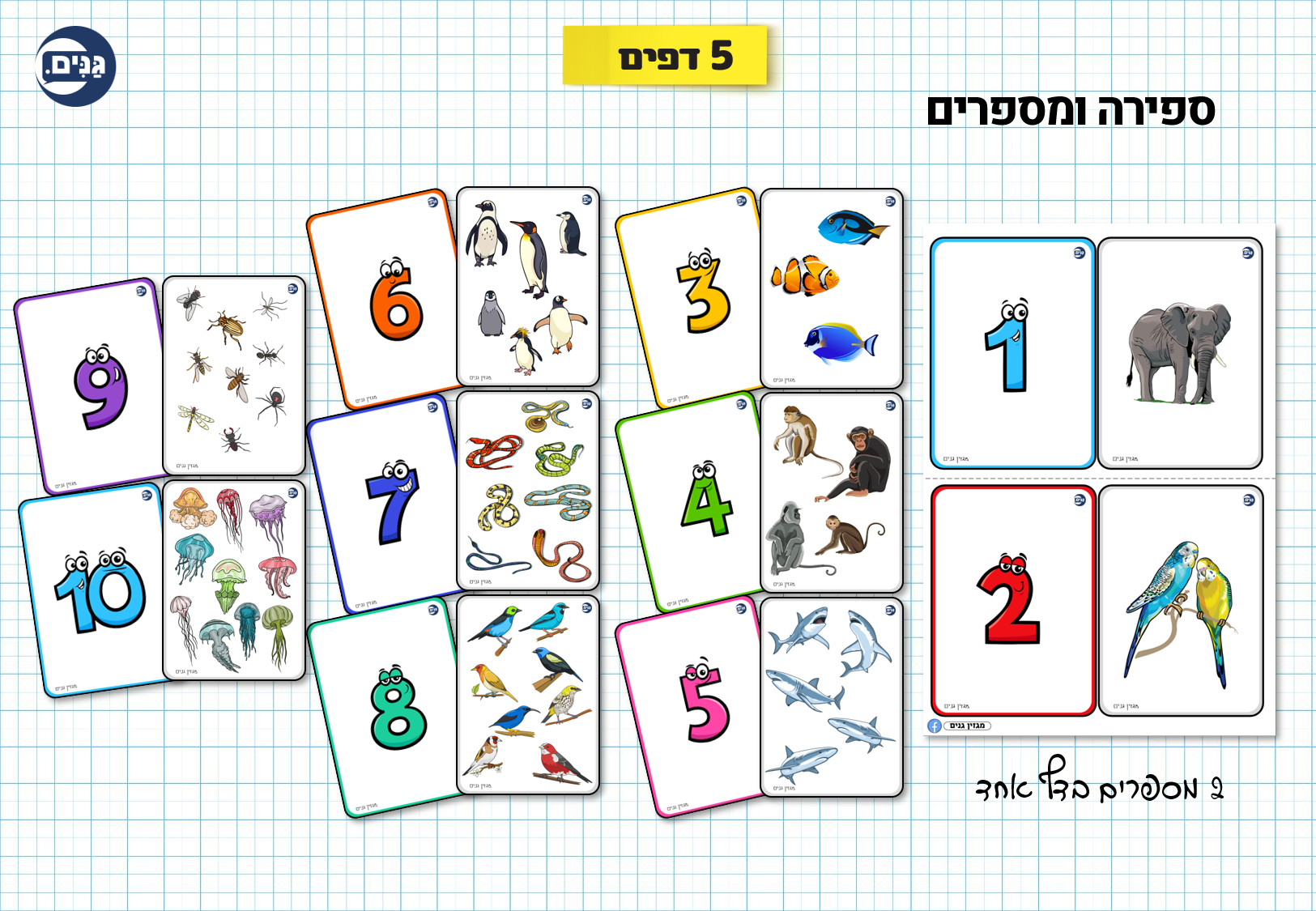 What does an animal kindergarten assessment include?