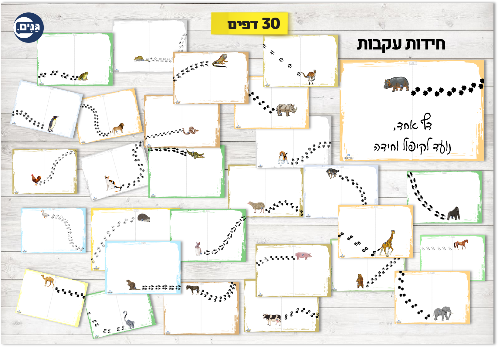 What does an animal kindergarten assessment include?