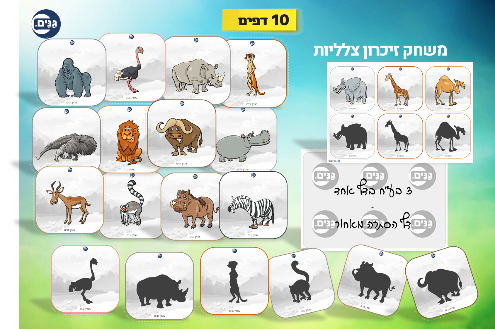 What does an animal kindergarten assessment include?