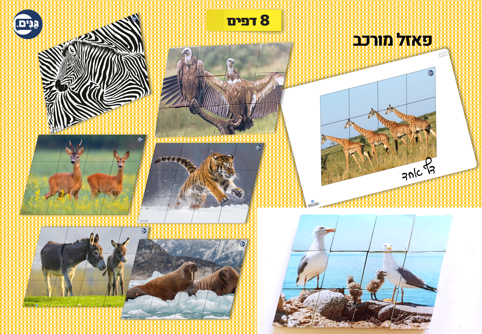 What does an animal kindergarten assessment include?