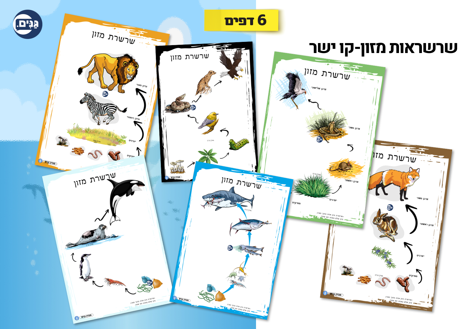 What does an animal kindergarten assessment include?