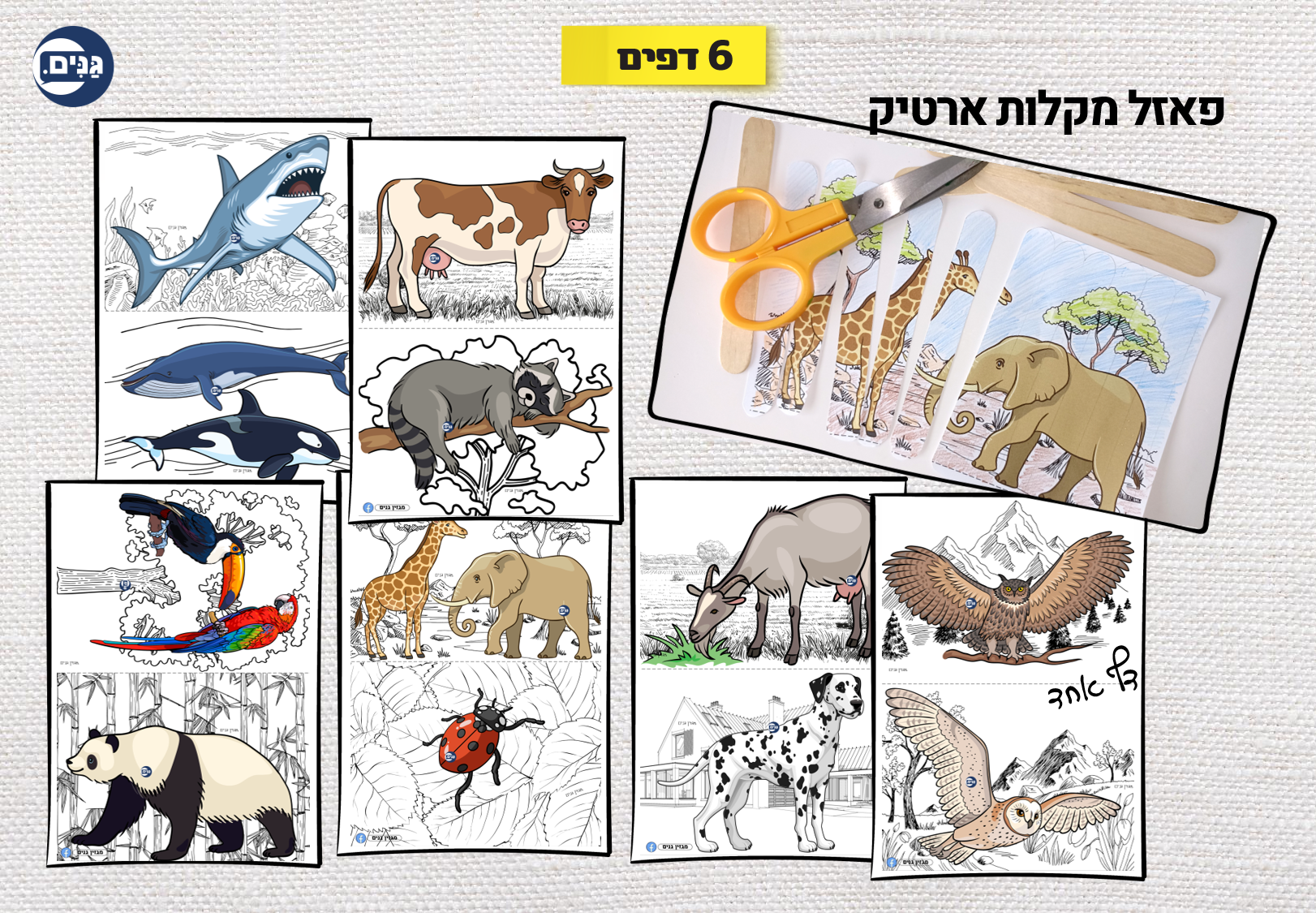 What does an animal kindergarten assessment include?