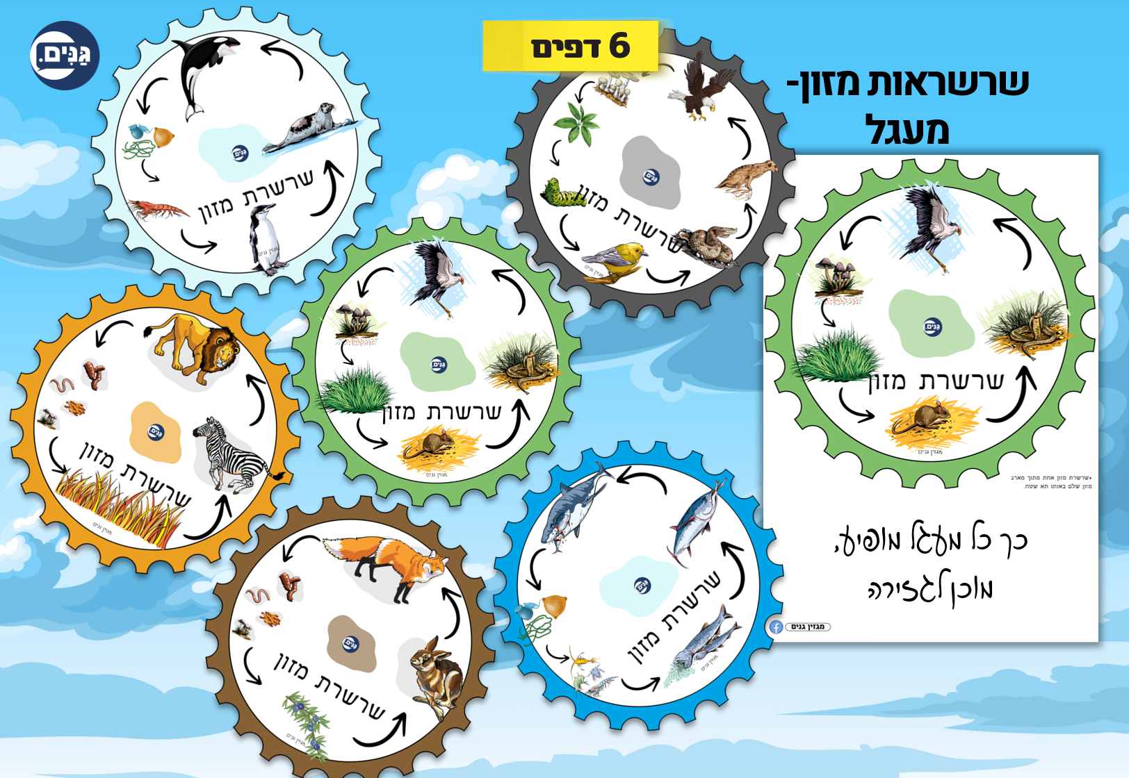 What does an animal kindergarten assessment include?