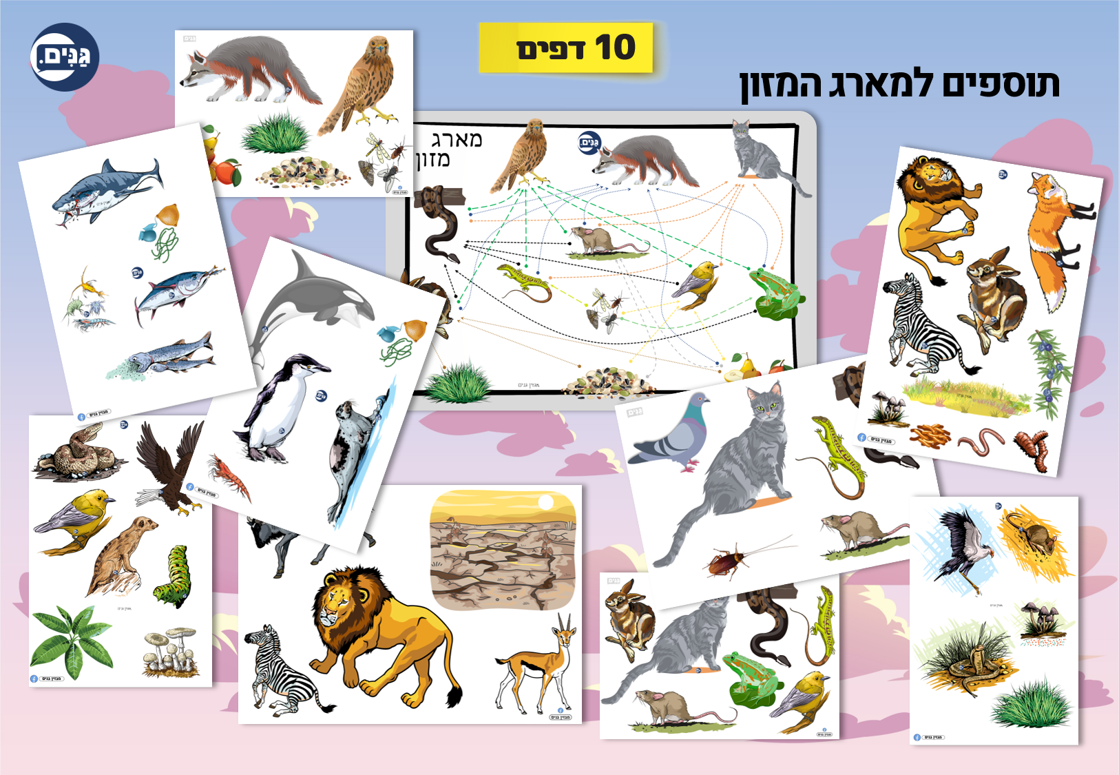 What does an animal kindergarten assessment include?