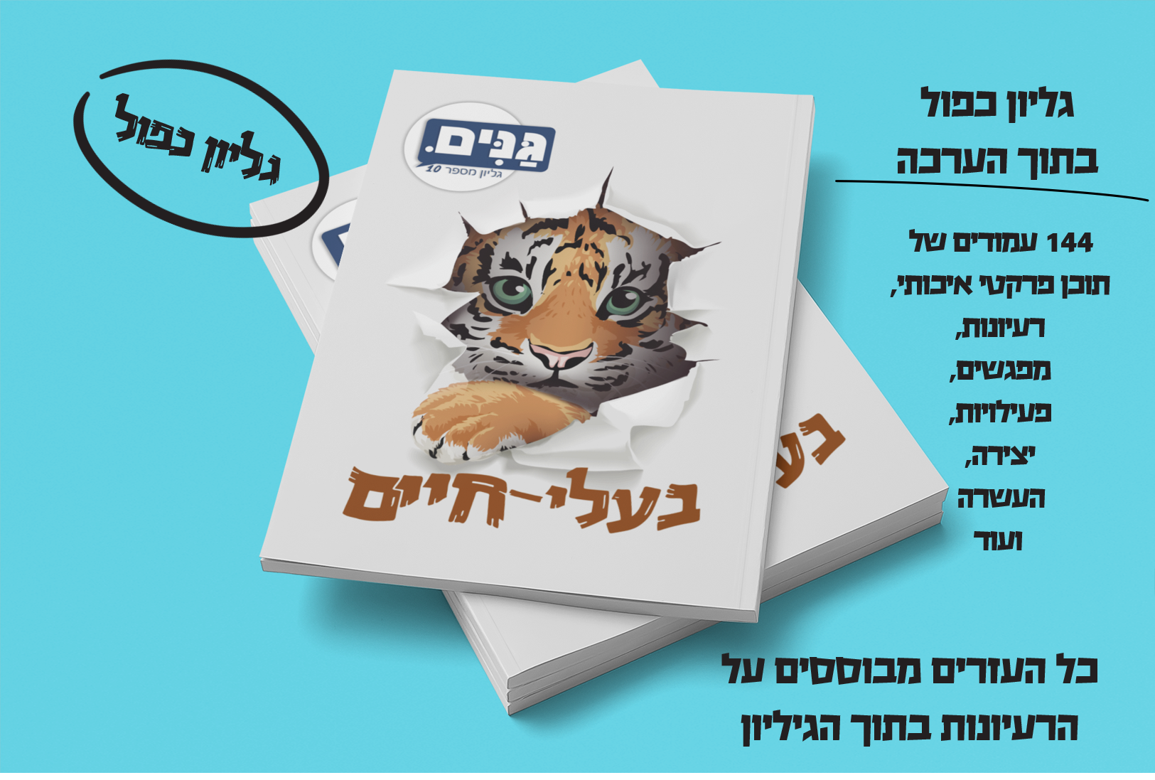 What does an animal kindergarten assessment include?