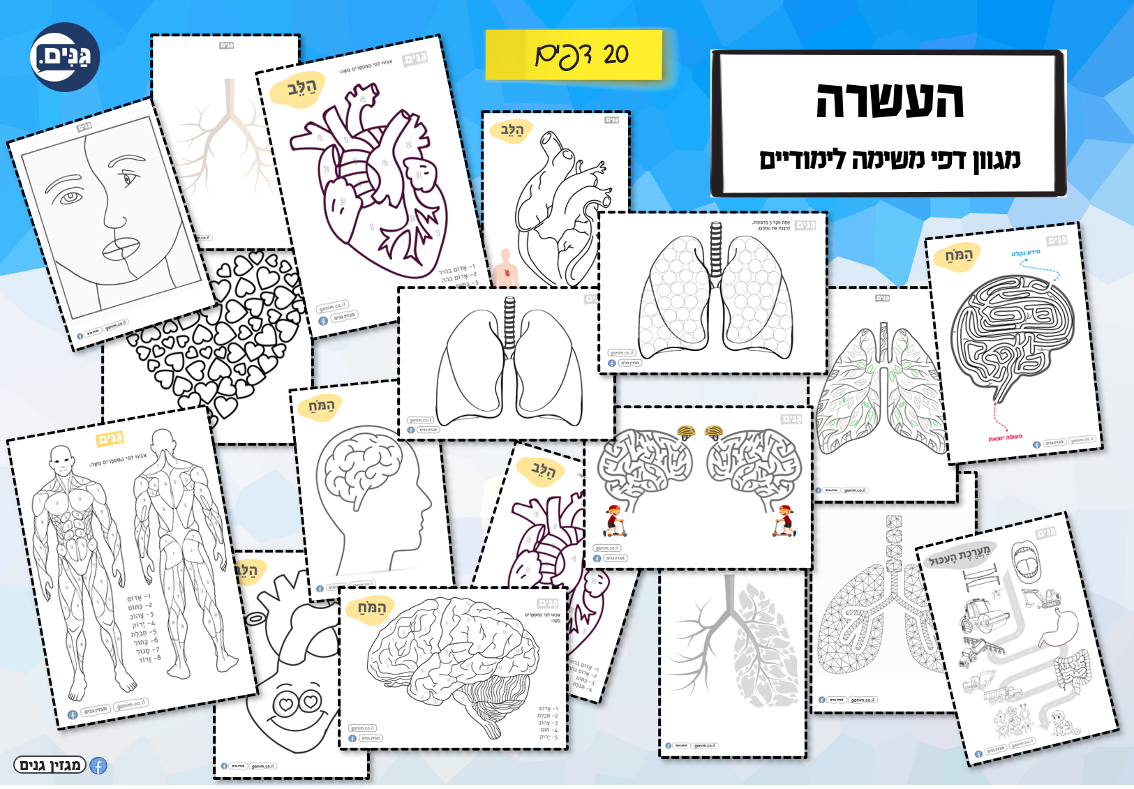 What does a kindergarten assessment about my body involve?