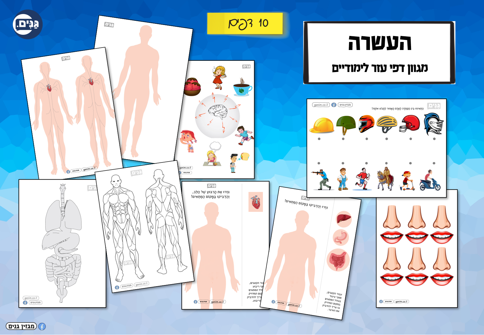 What does a kindergarten assessment about my body involve?