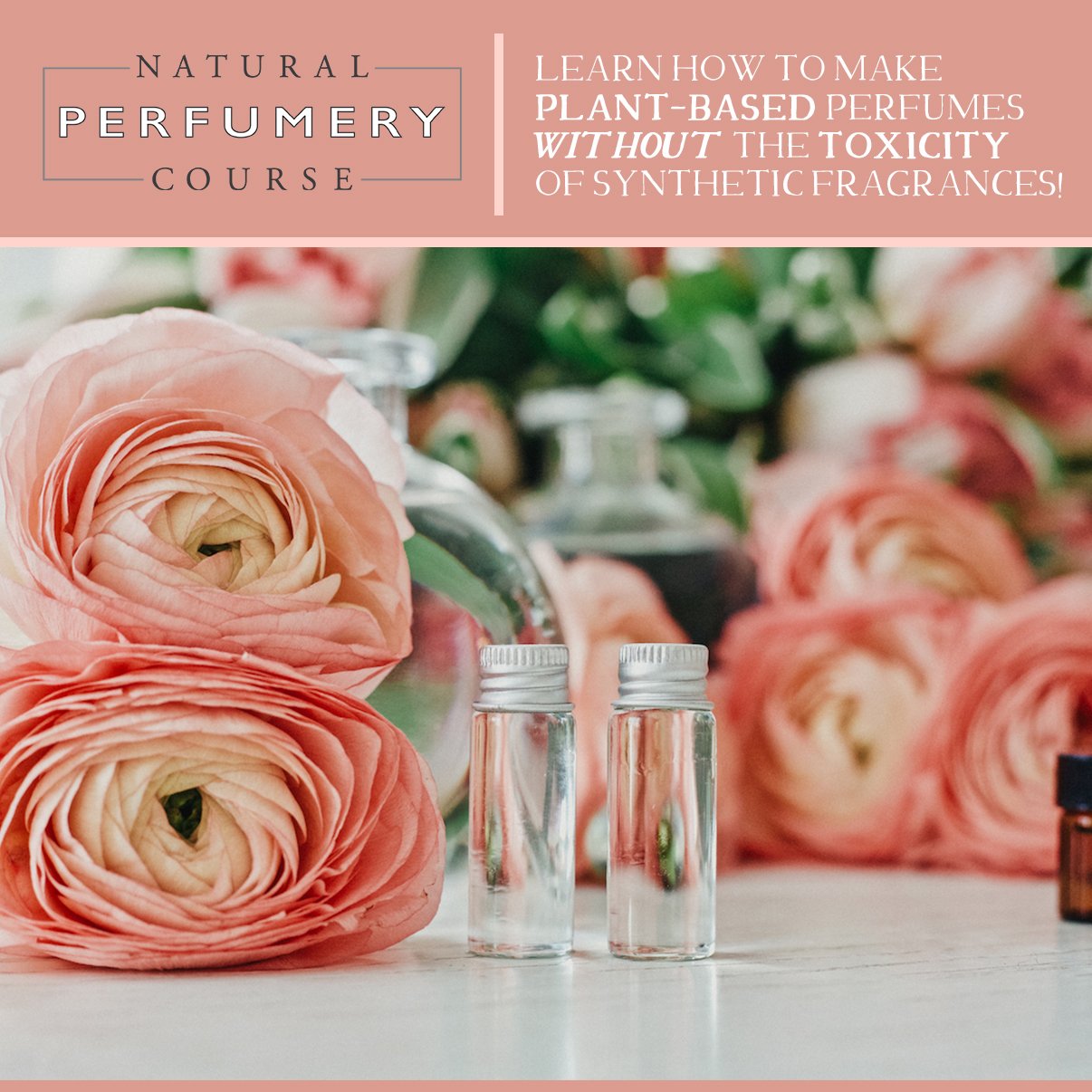 The Natural Perfumery Course will empower you to form a new type of relationship with plants that lets the plants speak for themselves with woodsy whispers, herbaceous harmonies and smoky secrets. 