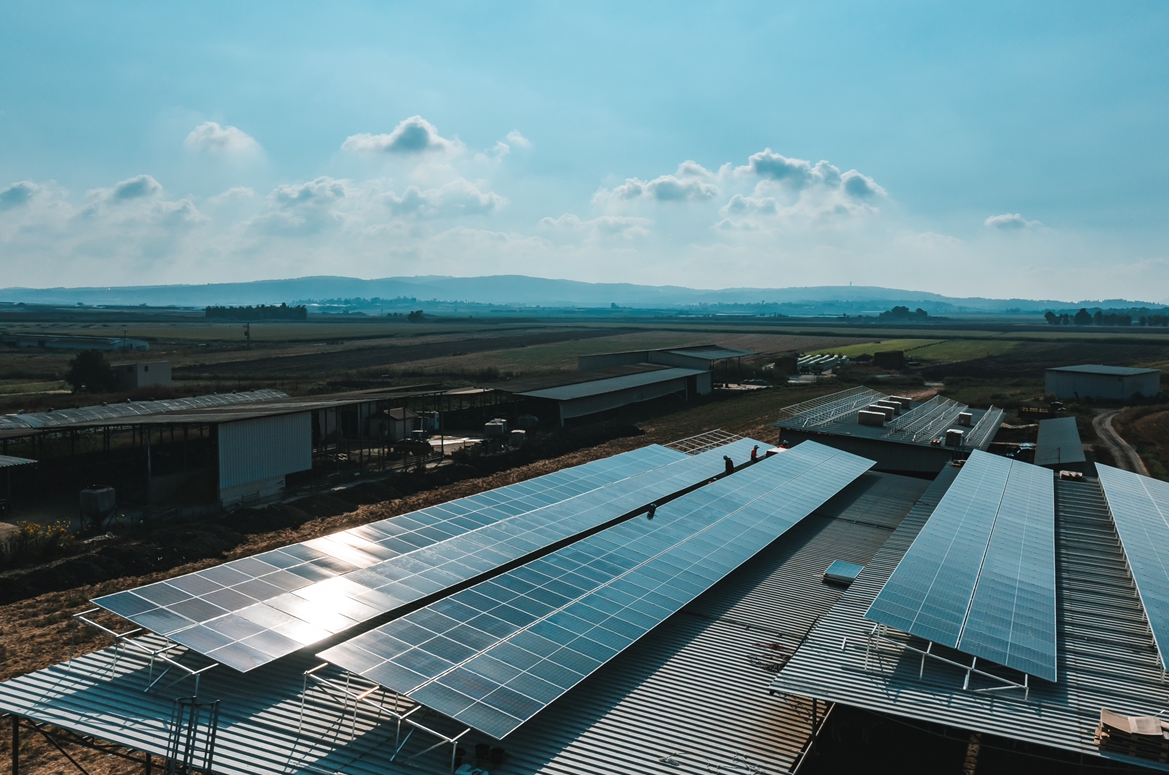 Kfar Yehoshua 600 kilos