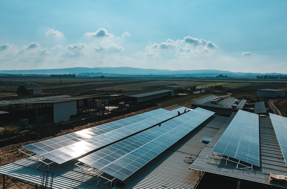 Kfar Yehoshua 600 kilos