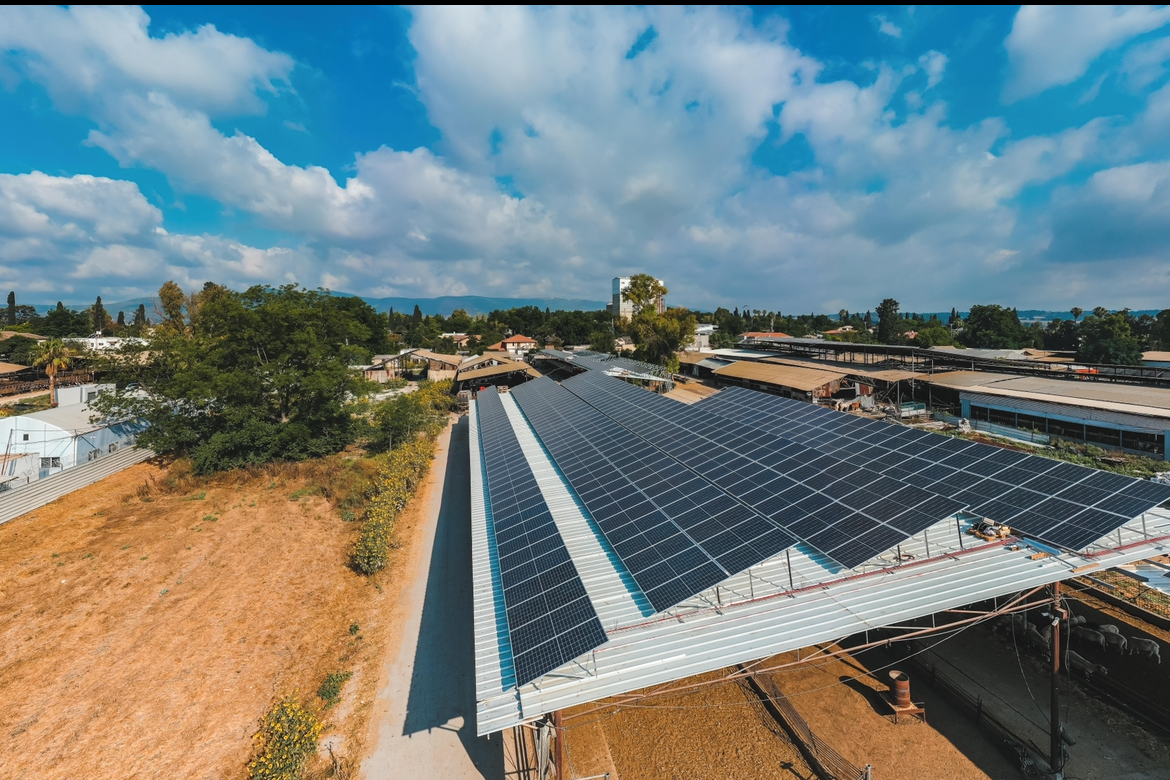 Kfar Yehoshua 600 kilos