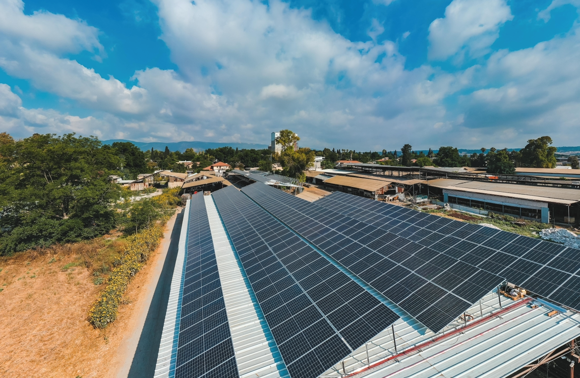 Kfar Yehoshua 600 kilos