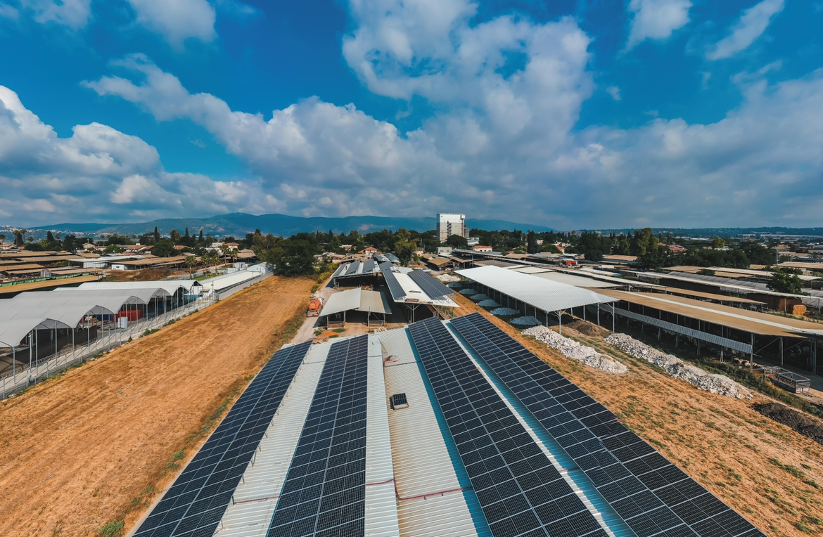 Kfar Yehoshua 600 kilos