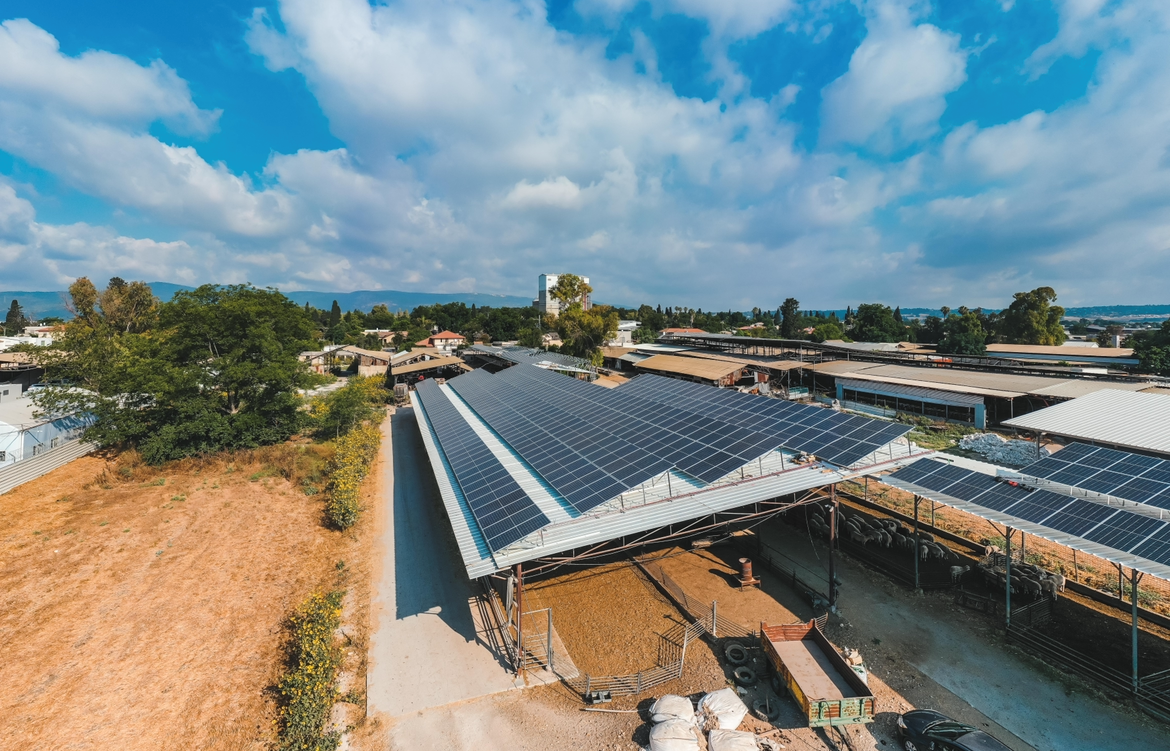 Kfar Yehoshua 600 kilos