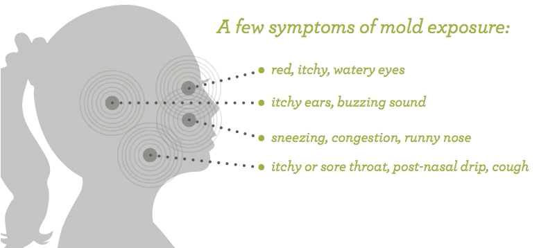 Symptoms Of Toxic Mold Exposure Mold Stars