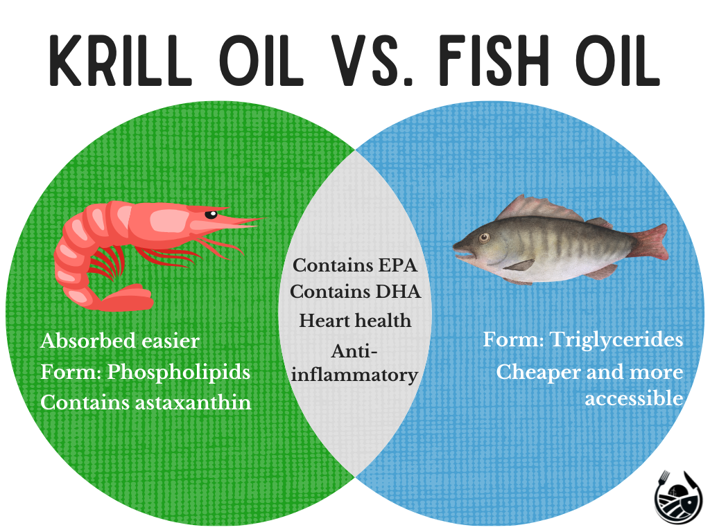 Algae Oil vs Fish Oil: Which One Is Right for You?