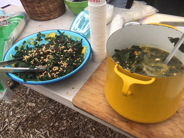 Soup and salad ready for sampling