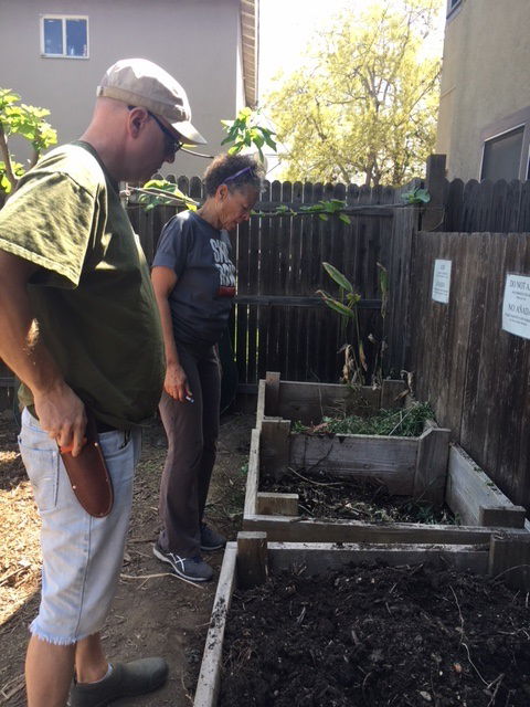 Compost is key to healthy soil