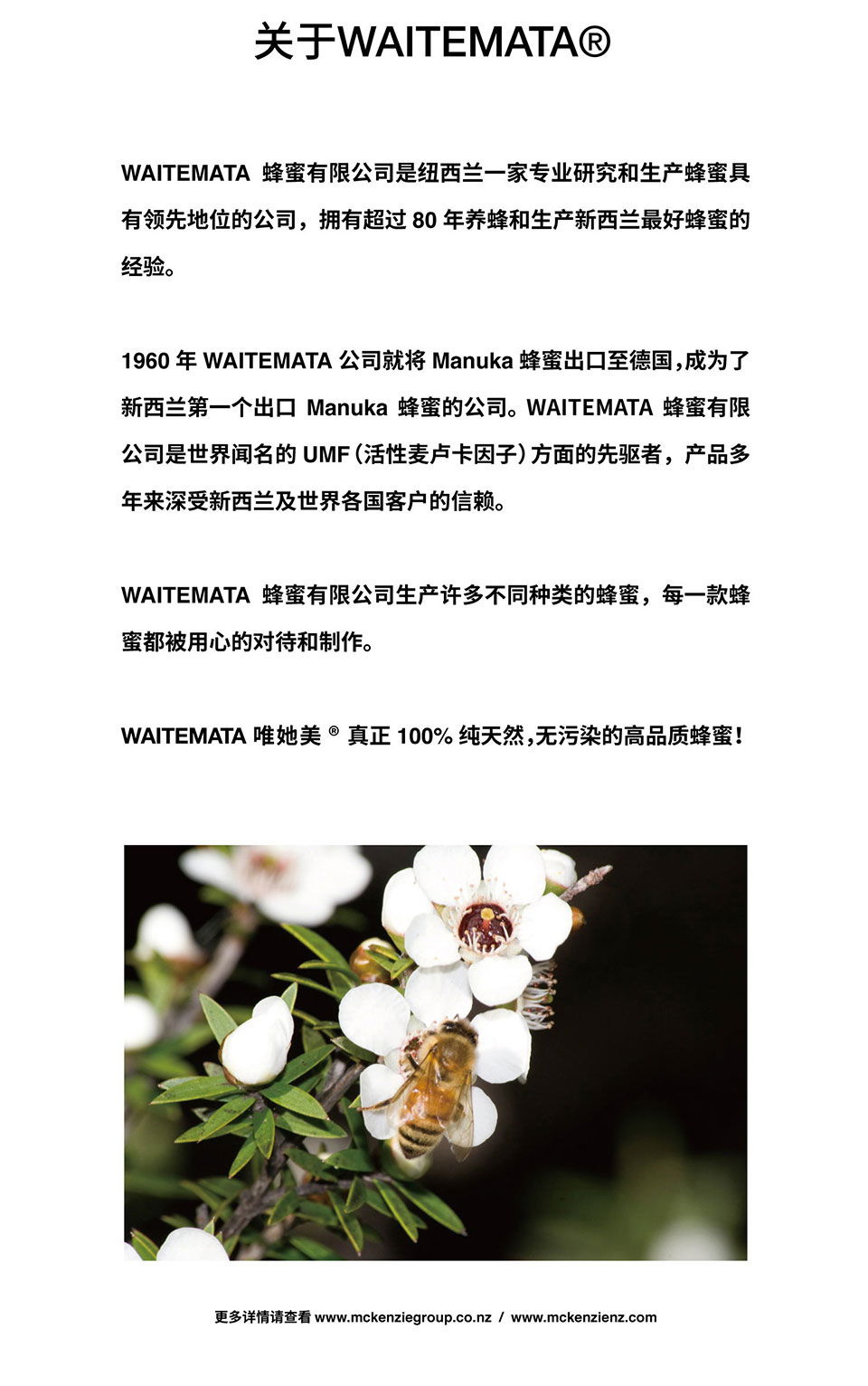 Waitemata 唯她美野地花蜂蜜500g 新西兰澳洲特产品到家