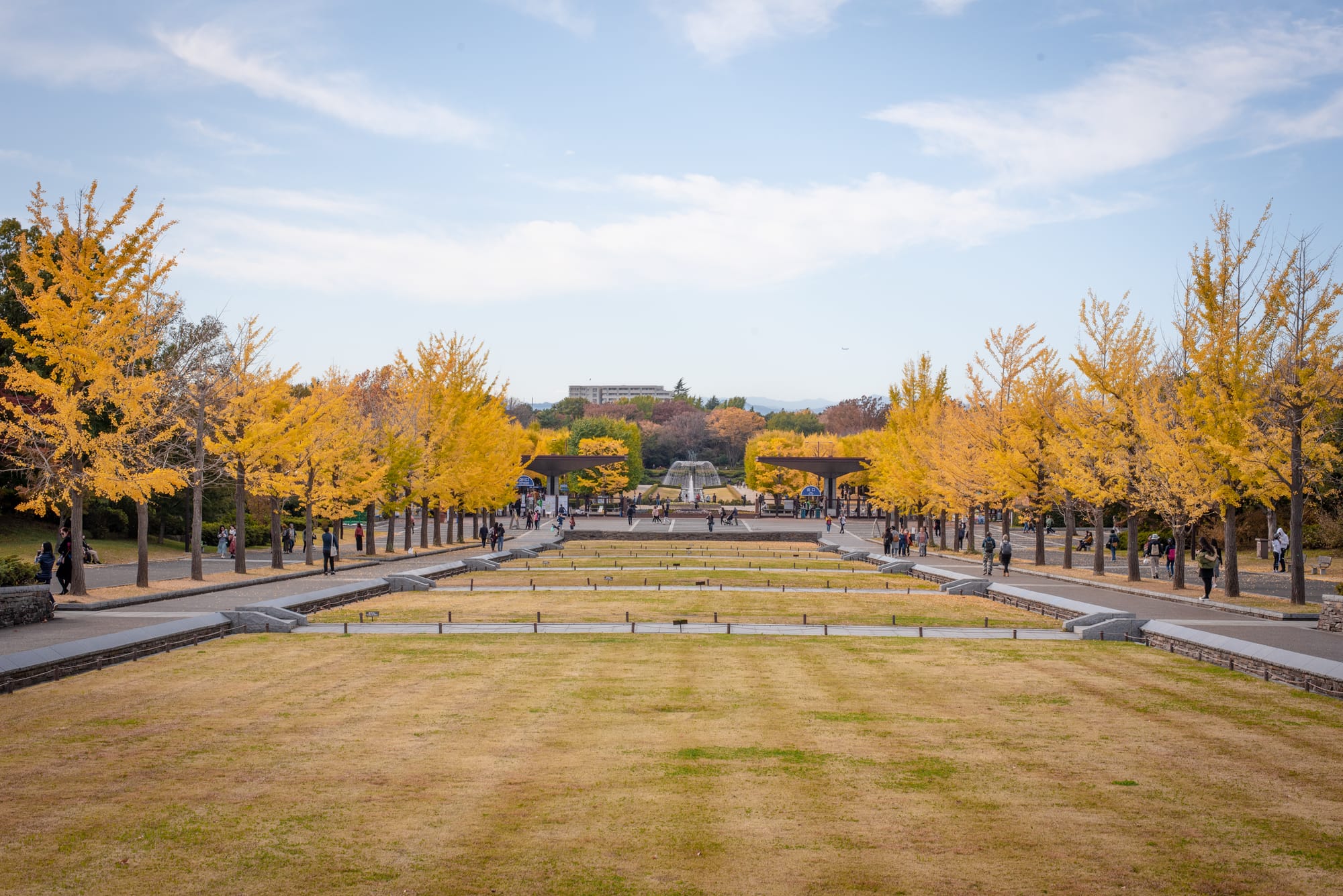 日本景點 東京國營昭和紀念公園 Tokyo Showa Kinen Park Photosha