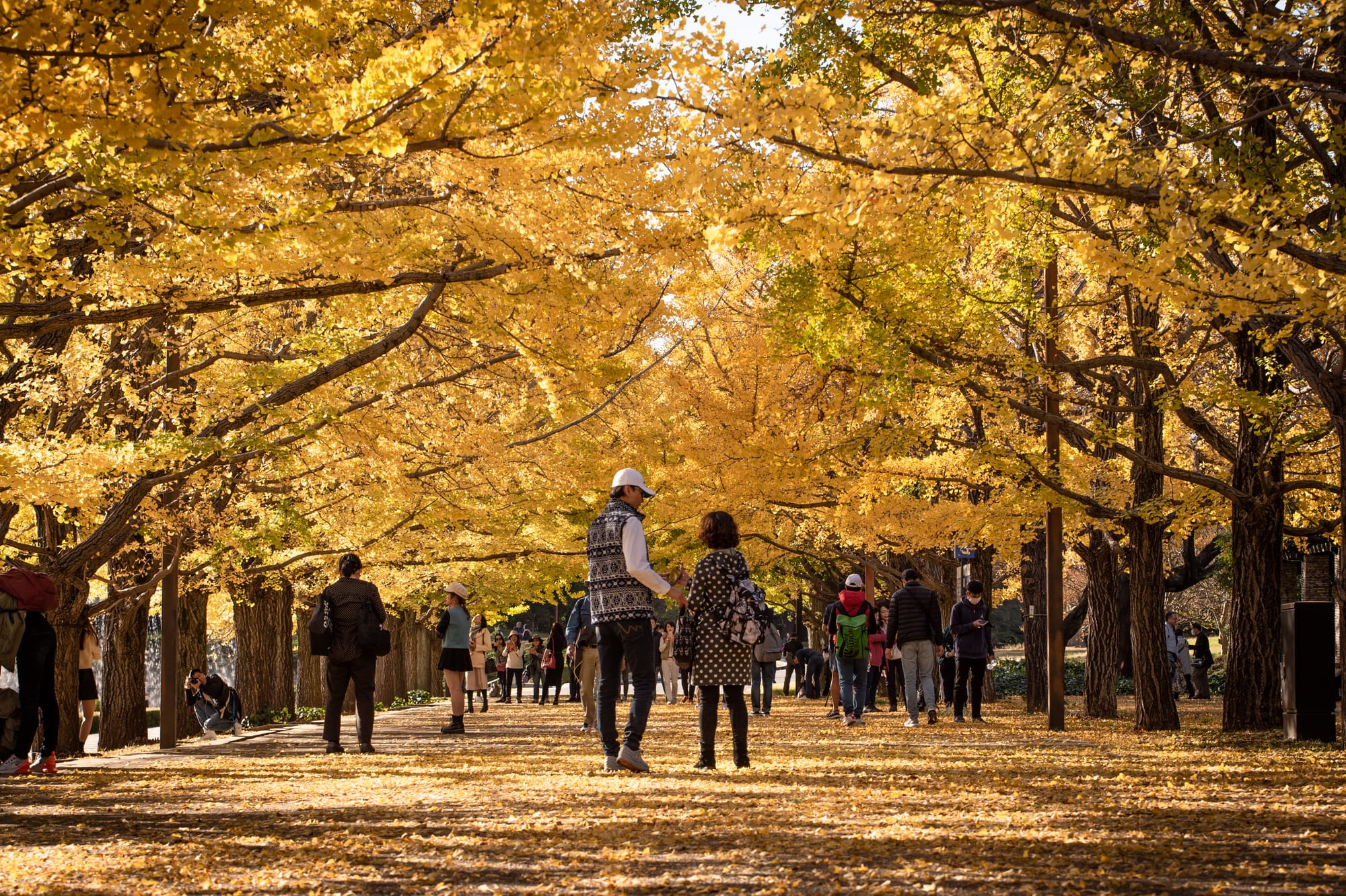 日本景點 東京國營昭和紀念公園 Tokyo Showa Kinen Park Photosha